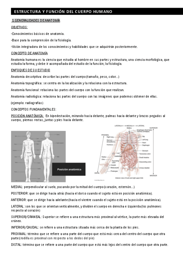 Miniatura del documento mejores-apuntes.pdf