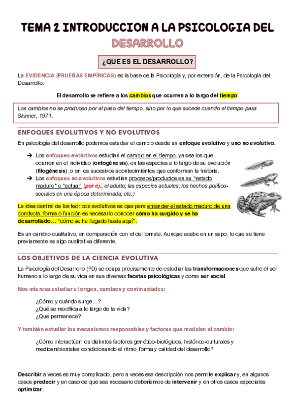 Miniatura del documento TEMA-2-DESARROLLO-COGNITIVO.pdf