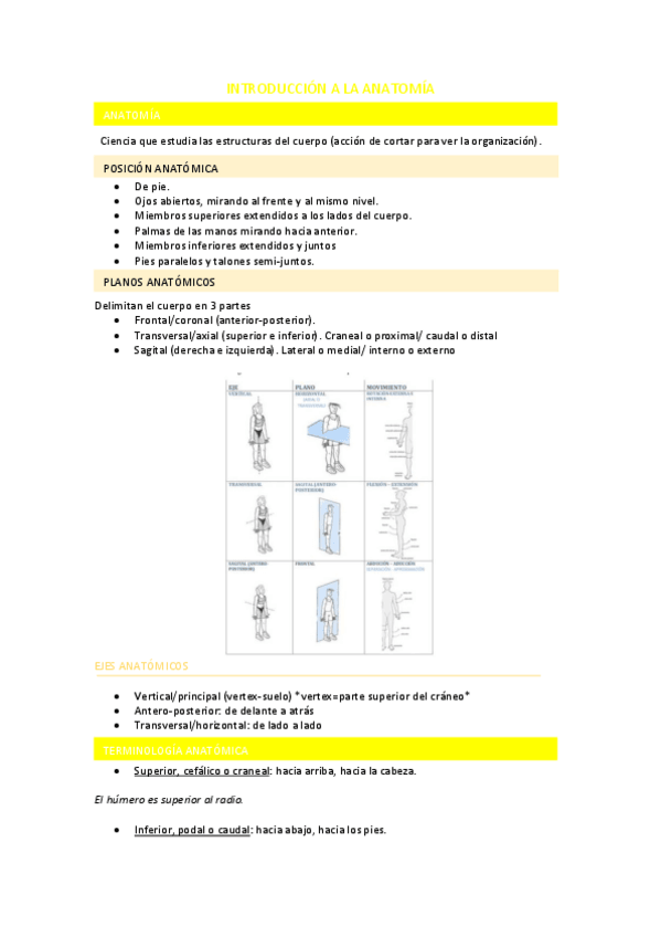 Miniatura del documento INTRODUCCION-A-LA-ANATOMIA.pdf