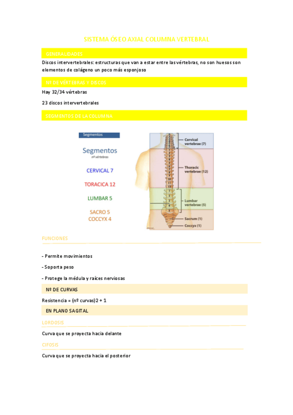 Miniatura del documento SISTEMA-OSEO-AXIAL-COLUMNA-VERTEBRAL.pdf