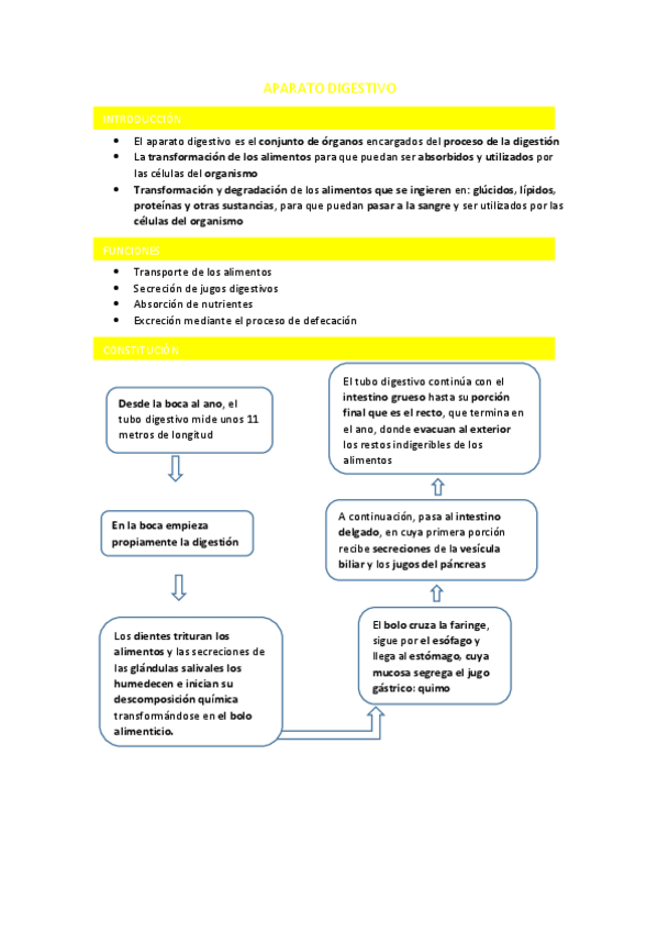 Miniatura del documento APARATO-DIGESTIVO.pdf