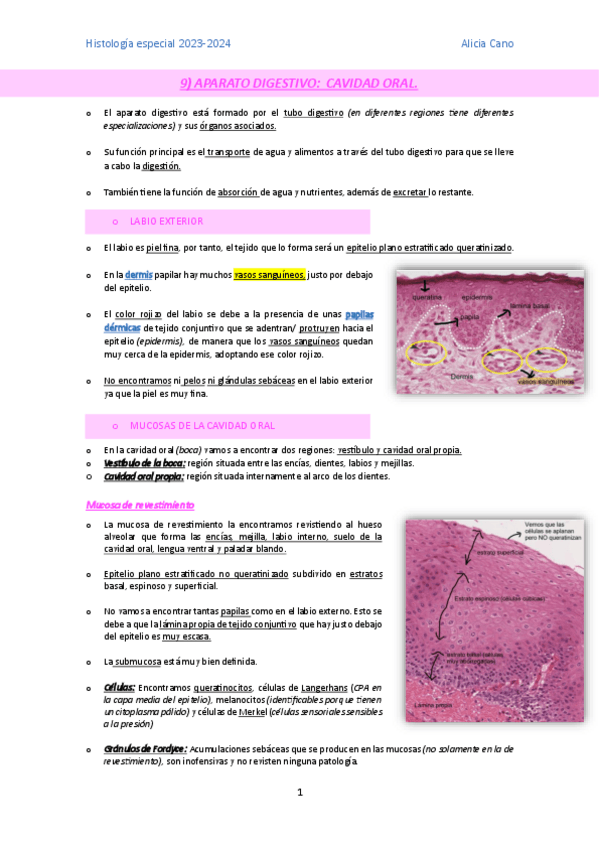 Miniatura del documento sistema-digestivo.pdf