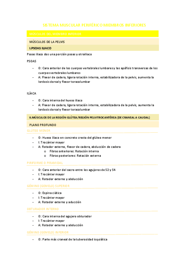 Miniatura del documento SISTEMA-MUSCULAR-PERIFERICO-MIEMBROS-INFERIORES.pdf