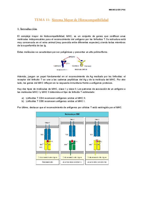Miniatura del documento TEMA-11-Inmunologia.pdf