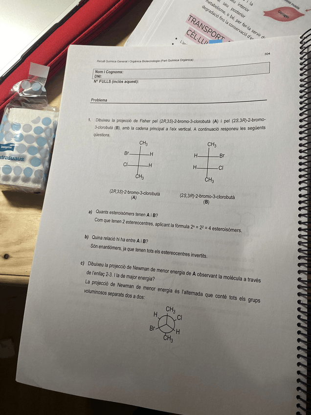 Miniatura del documento PHOTO-2022-11-21-12-36-21.jpg