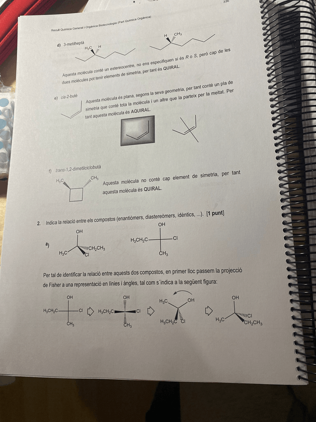 Miniatura del documento PHOTO-2022-11-21-12-36-23-2.jpg