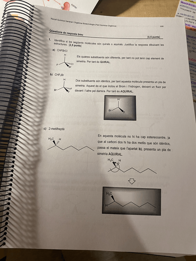 Miniatura del documento PHOTO-2022-11-21-12-36-23.jpg