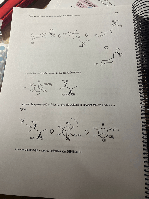 Miniatura del documento PHOTO-2022-11-21-12-36-24-2.jpg