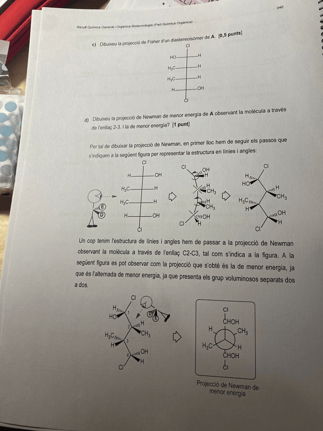 Miniatura del documento PHOTO-2022-11-21-12-36-25-2.jpg