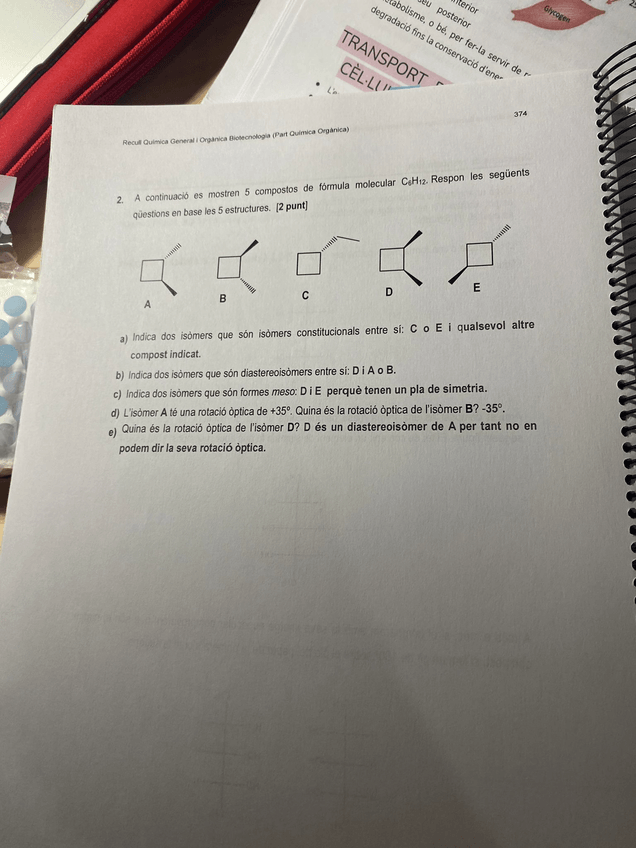 Miniatura del documento PHOTO-2022-11-21-12-36-28-2.jpg
