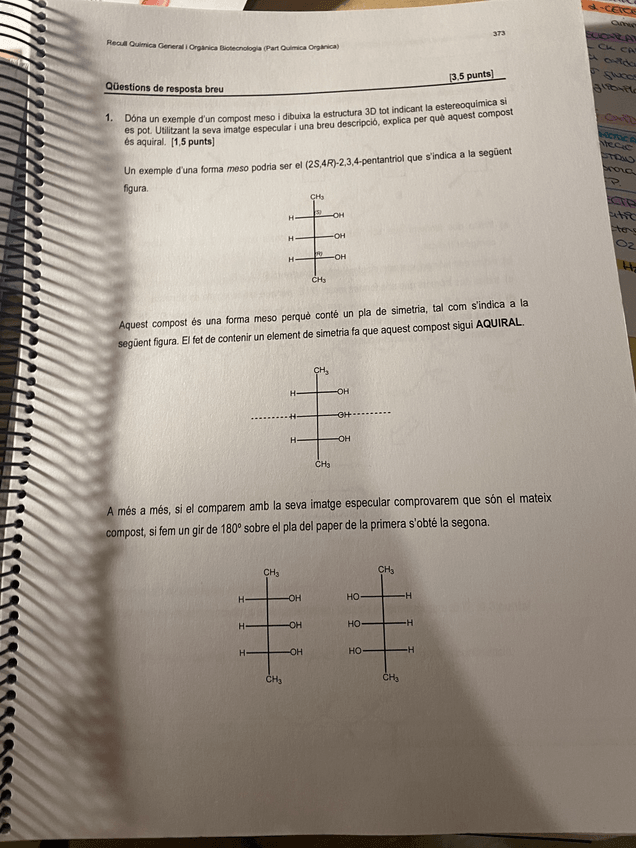Miniatura del documento PHOTO-2022-11-21-12-36-28.jpg