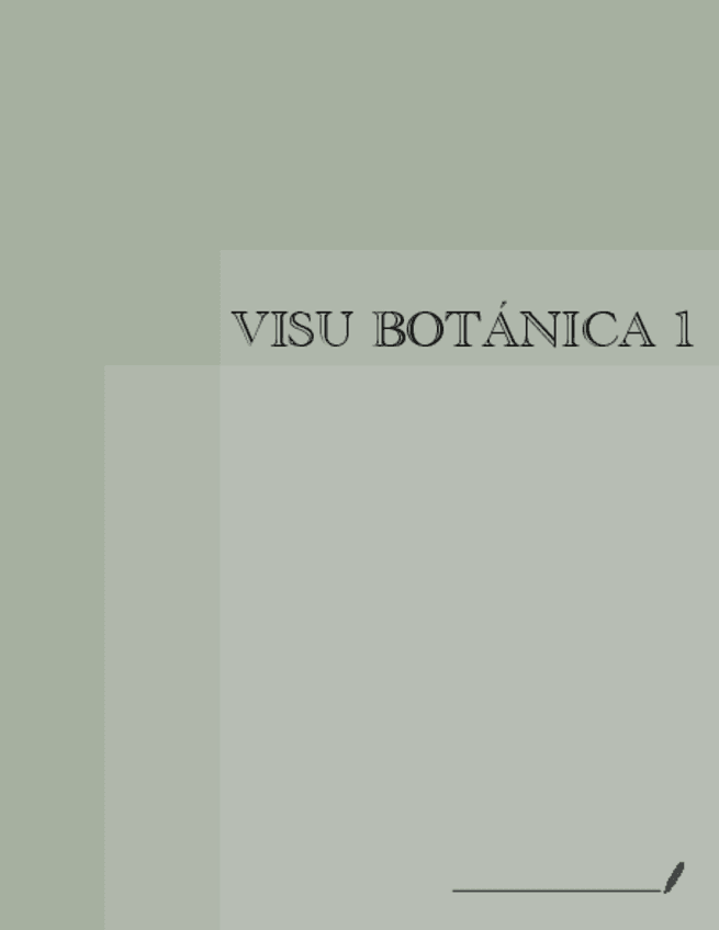Miniatura del documento APUNTES-VISU-Botanica1-23/24.pdf