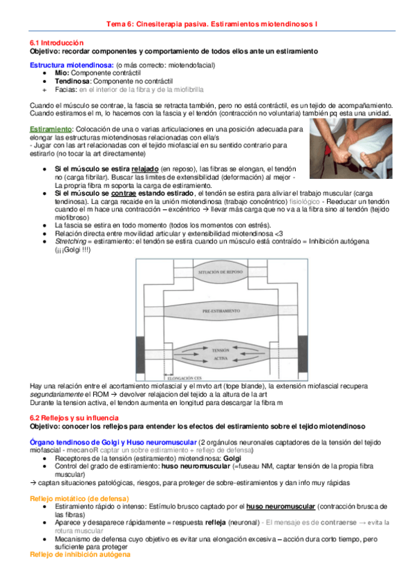 Miniatura del documento 6--Estiramientos-miotendinosos-I.pdf