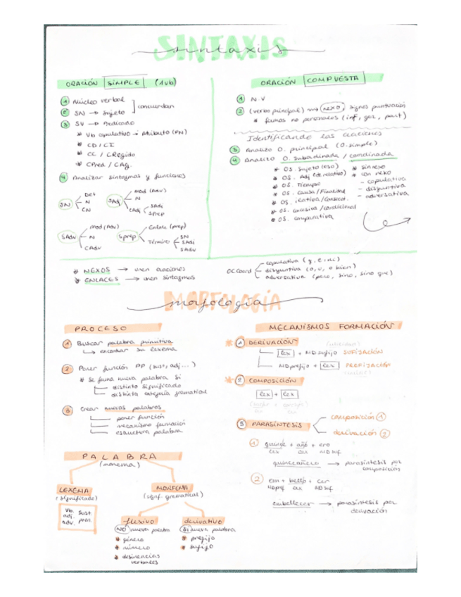 Miniatura del documento Teoria-Sintaxis-morfologia-y-analisis-de-textos.pdf