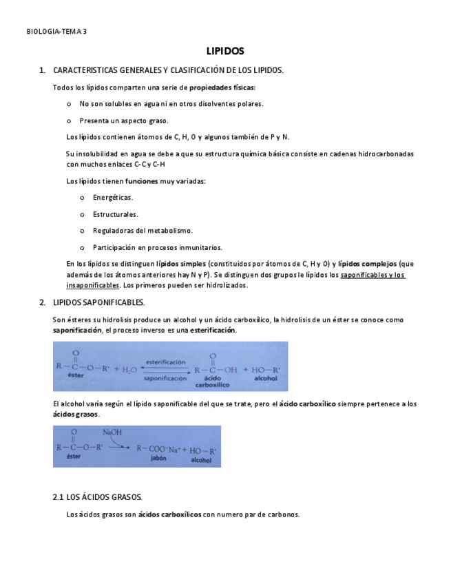 Miniatura del documento LIPIDOS.pdf