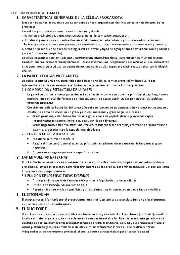 Miniatura del documento LA-CELULA-PROCARIOTA-Tema-11.pdf