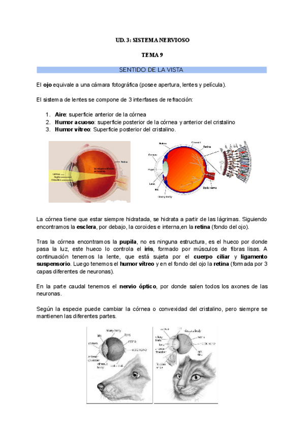 Miniatura del documento UD.3.-T.9.-SENTIDO-DE-LA-VISTA.pdf