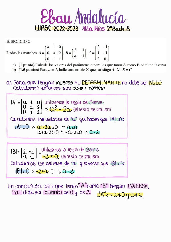 Miniatura del documento EJERCICIO-MATRICES-MATES-CCSS-EBAU-ANDALUCIA-2023.pdf