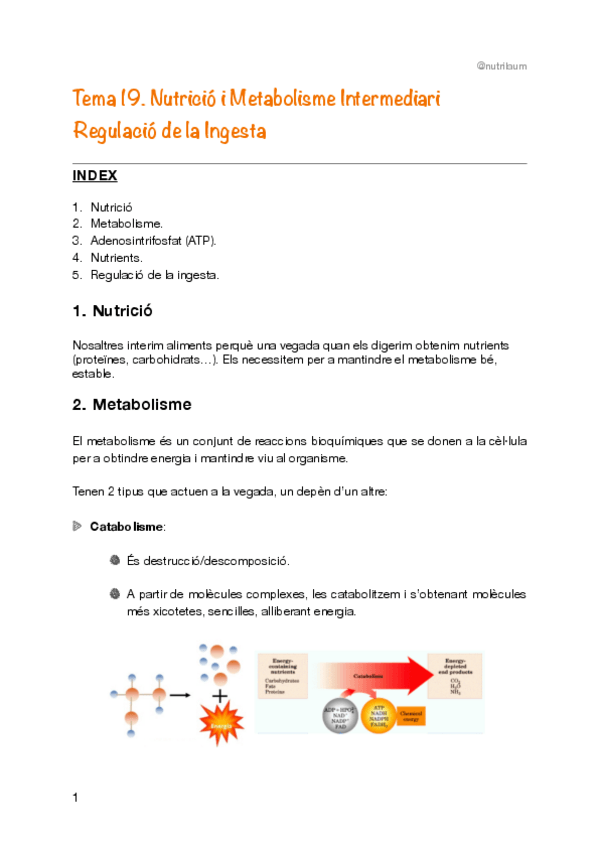 Miniatura del documento Tema-19.-Nutricio-i-Metabolisme-intermediari.-Regulacio-de-la-ingesta..pdf