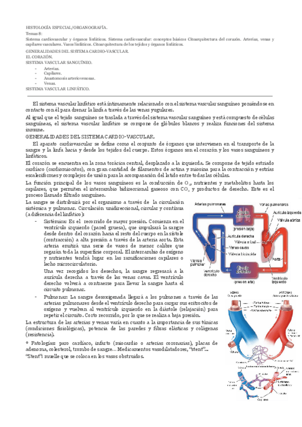 Miniatura del documento t8.pdf