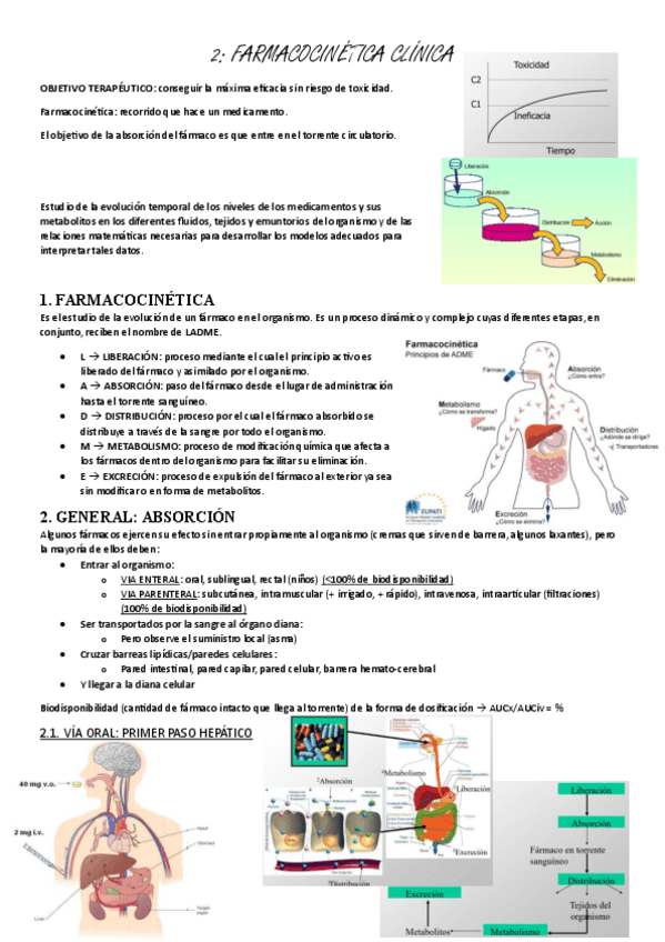 Miniatura del documento farmacologia-2-Farmacocinetica-clinica.pdf