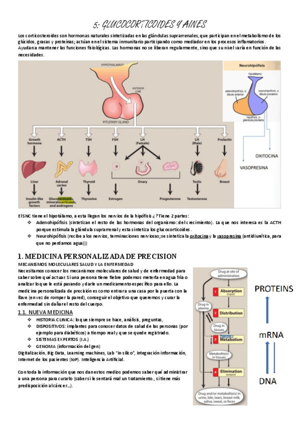 Miniatura del documento farmacologia-5-AINEs-y-glucocorticoides.pdf