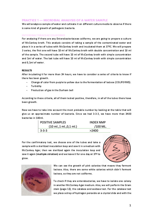 Miniatura del documento LAB-NOTEBOOK.pdf