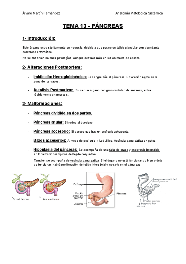 Miniatura del documento TEMA-13-PANCREAS.pdf