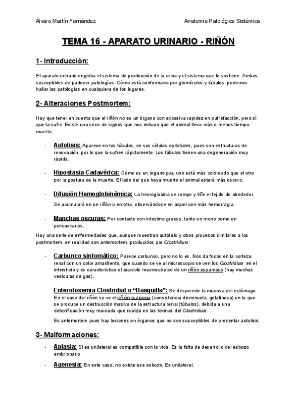 Miniatura del documento TEMA-16-APARATO-URINARIO.pdf