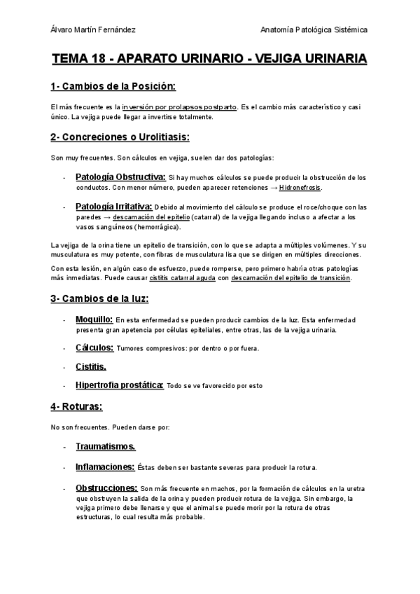 Miniatura del documento TEMA-18-APARATO-URINARIO-VEJIGA-URINARIA.pdf