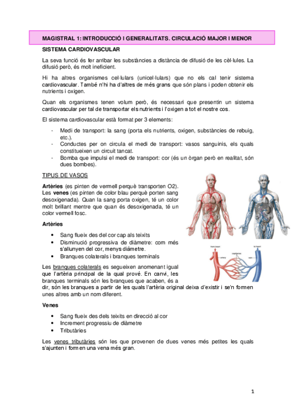 Miniatura del documento MAGISTRALS-SISTEMA-CIRCULATORI-ok.pdf