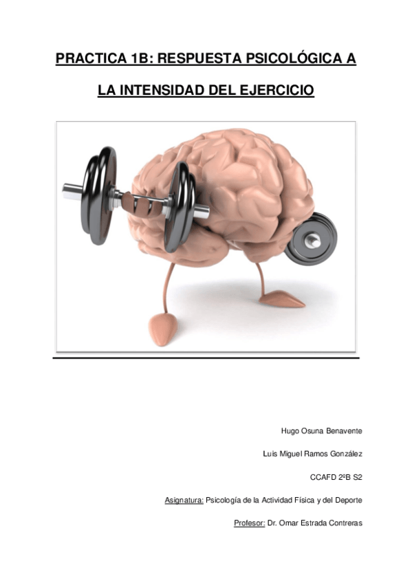 Miniatura del documento 1o-INFORME.pdf