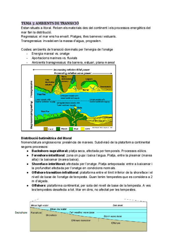 Miniatura del documento TEMA-3-AMBIENTS-DE-TRANSICIO.pdf