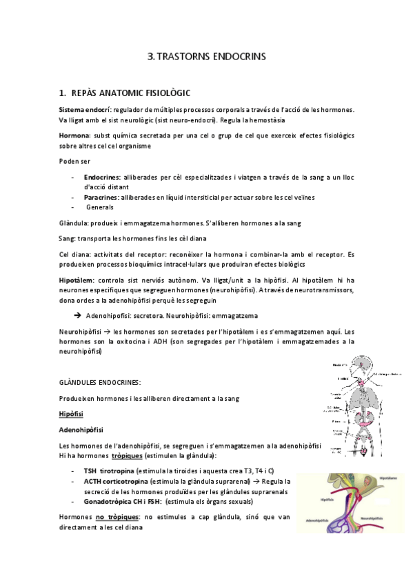 Miniatura del documento endocri.pdf