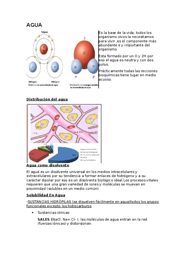 Miniatura del documento AGUA.odt
