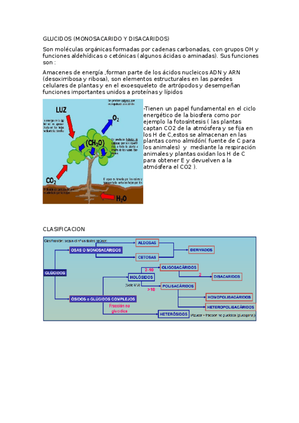 Miniatura del documento GLUCIDOS.odt
