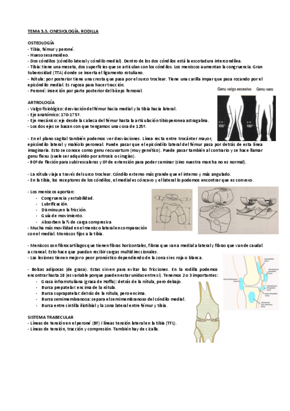 Miniatura del documento 3.3. Cinesiologia. Rodilla.pdf