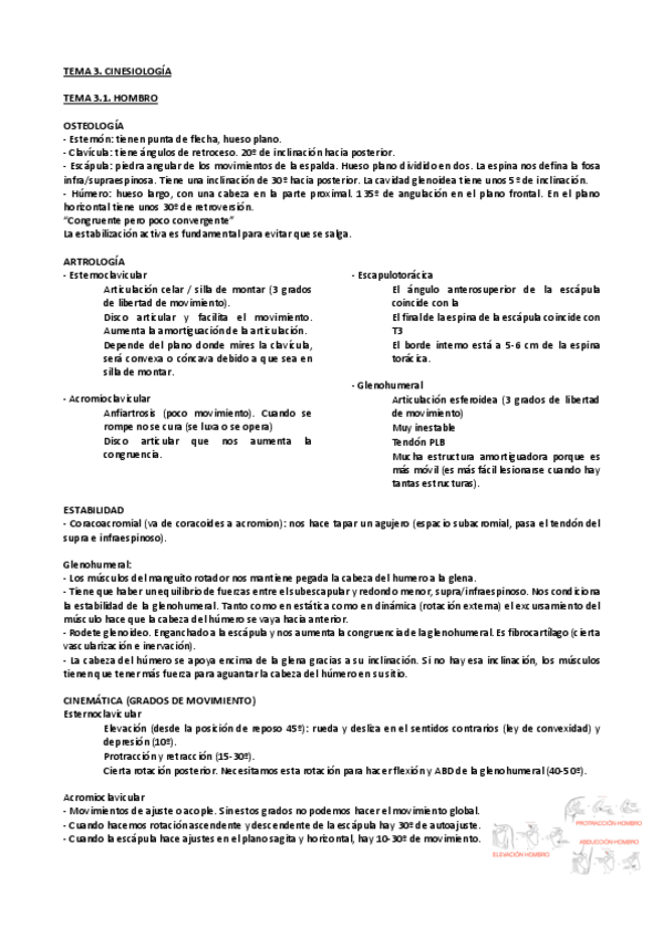 Miniatura del documento 3.1. Cinesiologia. Hombro, antebrazo y mano.pdf