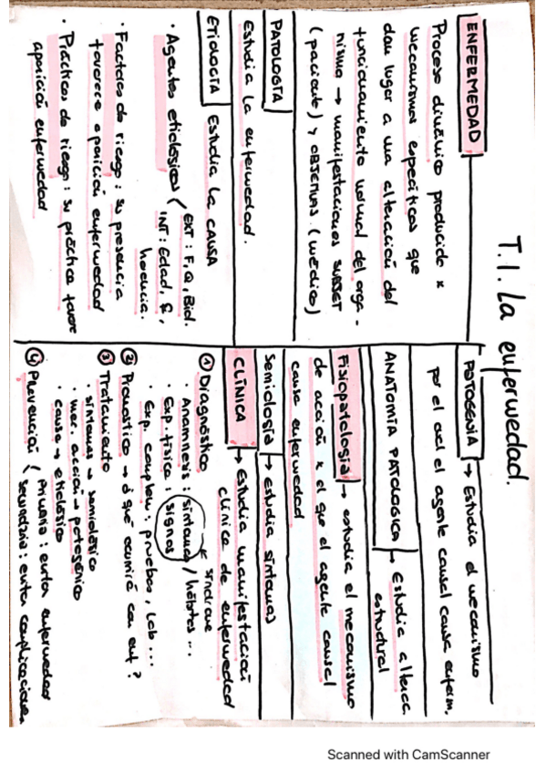 Miniatura del documento FISIOPATOLOGIA-ESQUEMAS.pdf