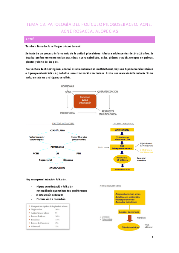 Miniatura del documento tema-13-Acne.pdf