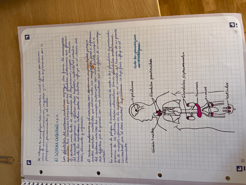 Miniatura del documento IMG2218.jpeg