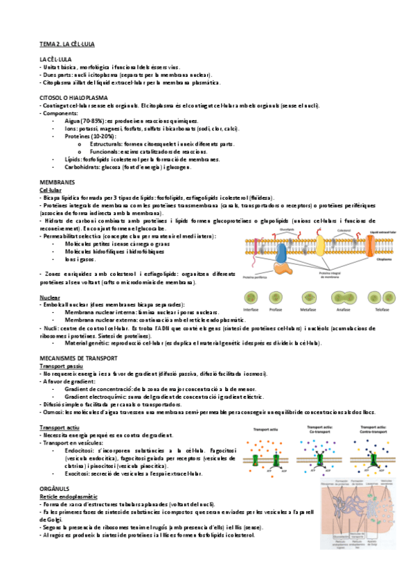 Miniatura del documento Tema-2.-La-cellula.pdf