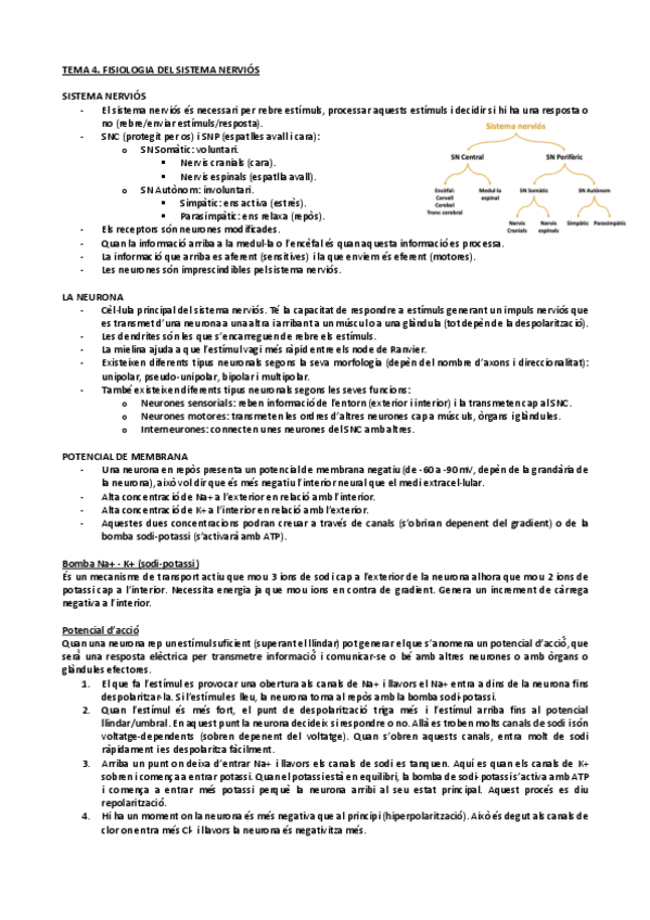 Miniatura del documento Tema-4.-Fisiologia-del-Sistema-Nervios.pdf