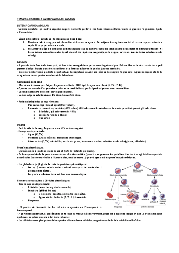 Miniatura del documento Tema-9.1.-Fisiologia-Cardiovascular.-La-Sang.pdf