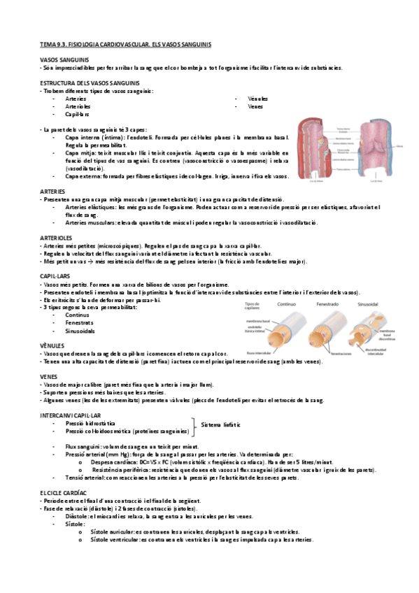 Miniatura del documento Tema-9.3.-Fisiologia-Cardiovascular.-Els-Vasos-Sanguinis.pdf