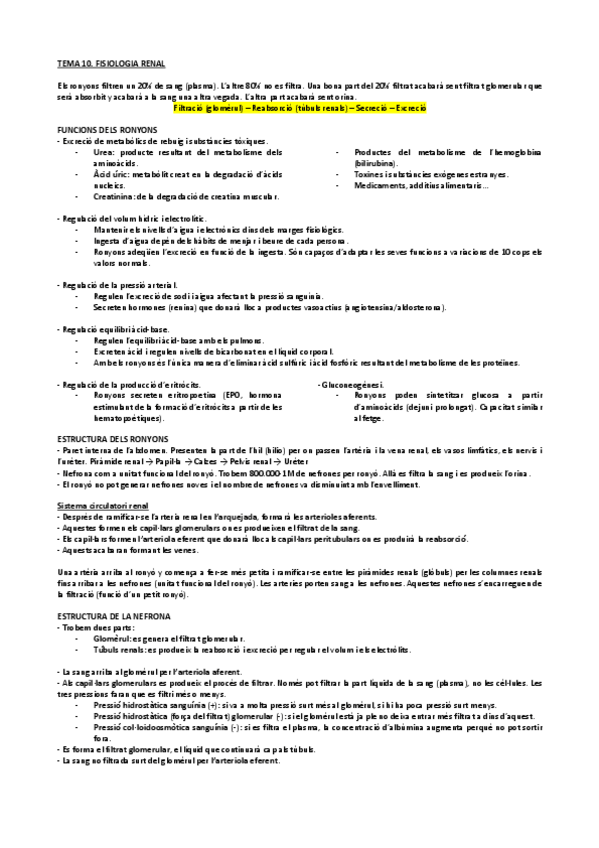 Miniatura del documento Tema-10.-Fisiologia-Renal.pdf