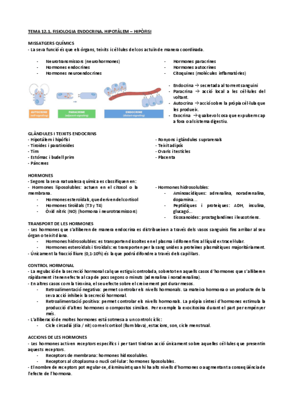 Miniatura del documento Tema-12.1.-Fisiologia-Endocrina.-Hipotalem-Hipofisi.pdf