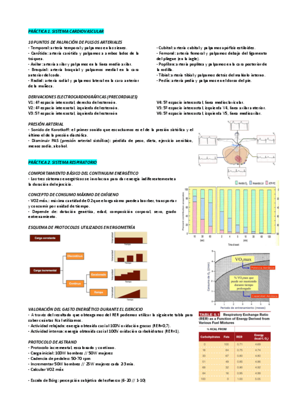 Miniatura del documento Resumen-Practicas.pdf