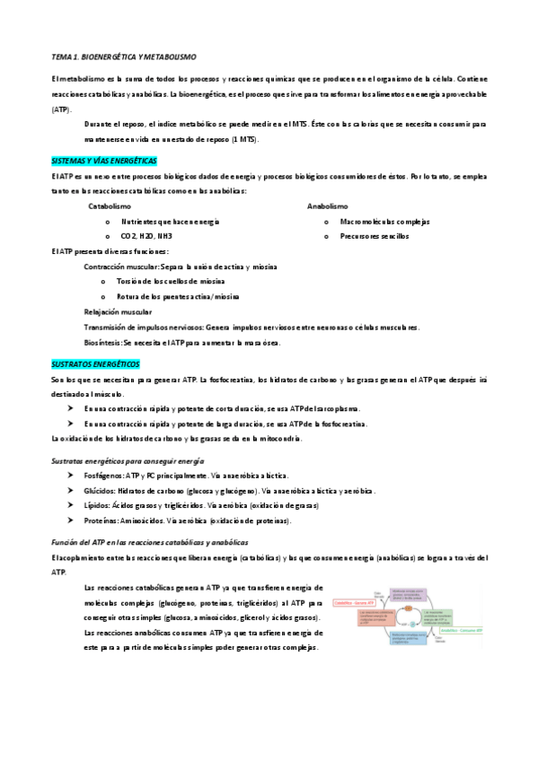 Miniatura del documento TEMA-1.-Bioenergetica-y-metabolismo1.pdf
