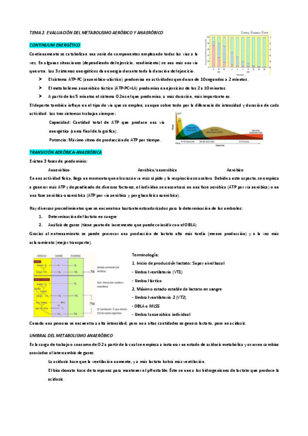Miniatura del documento TEMA-2.-Evaluacion-del-metabolismo-aerobico-y-anaerobico.pdf